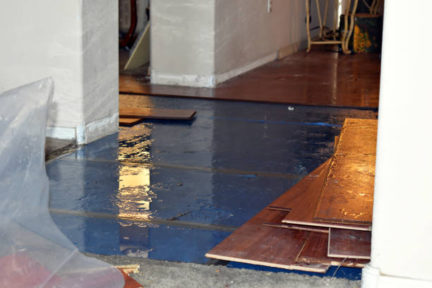 Professional Water Damage Restoration technician working in Kistler, WV